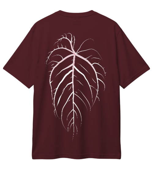 Goth Anthurium (Wine)