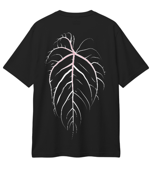 Goth Anthurium (Black)
